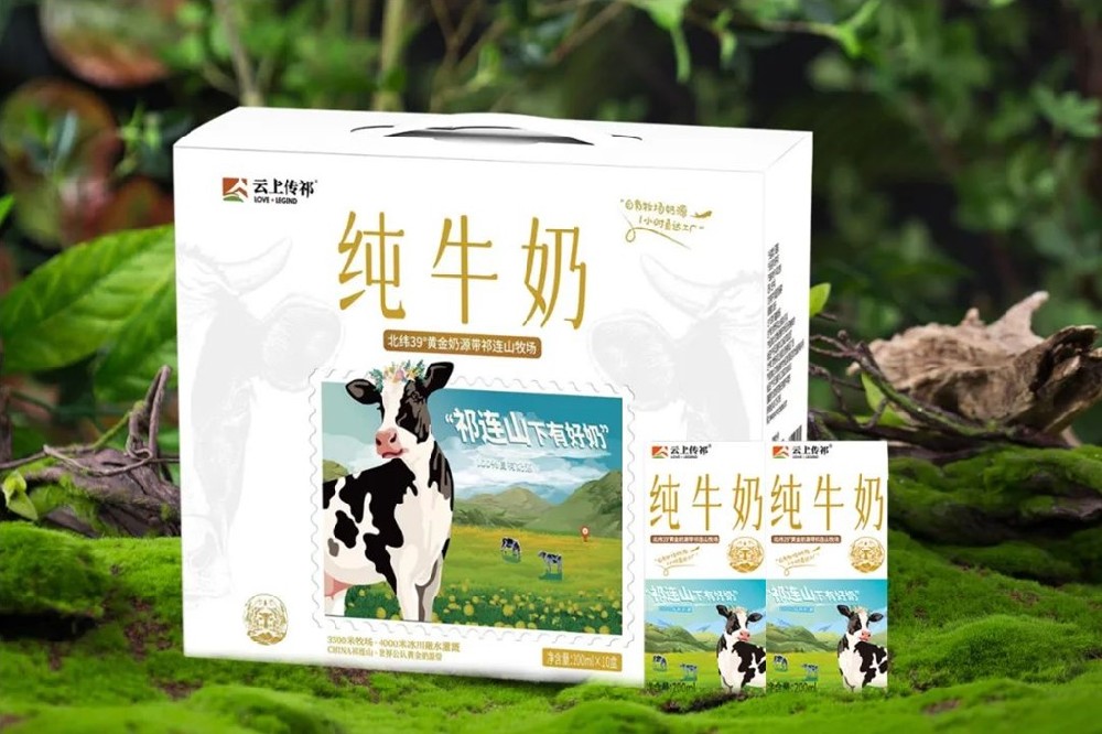 祁連山下好牧場，傳祁牛奶有點香
